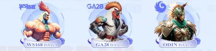 cockfighting providers casino