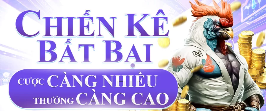 cockfighting promo banner - chien ke bat bai